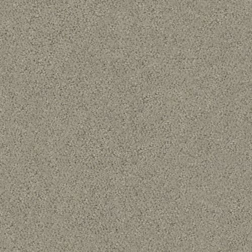 AERIAL VIEW in Artisan Taupe Carpet