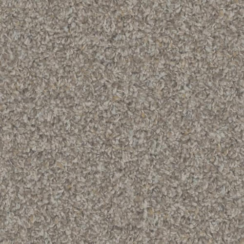 FloorEver PetPlus - Crete in Allure Carpet