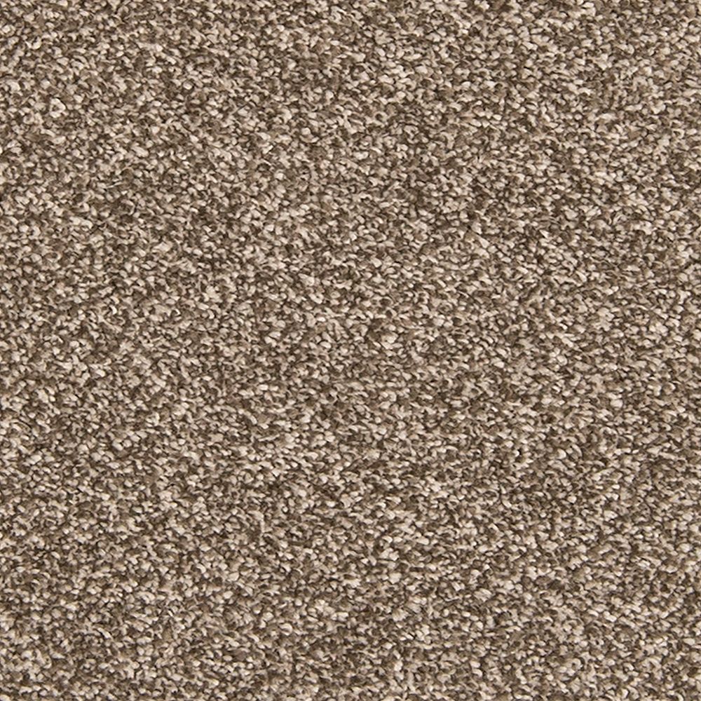 Mohawk Dynamic Quality II Carpet Flooring