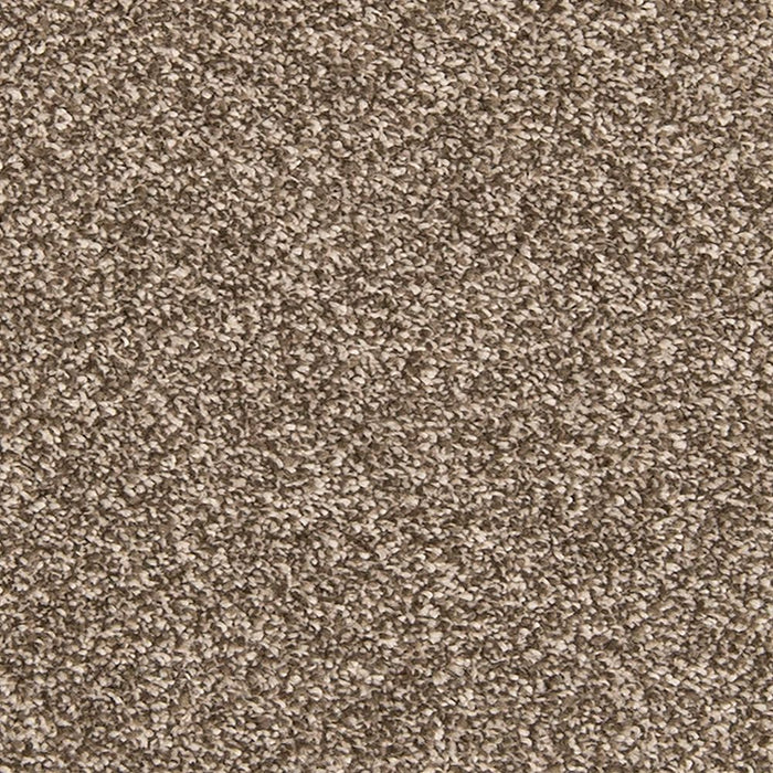 Mohawk Dynamic Quality II Carpet Flooring