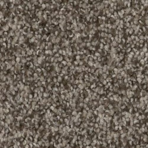 Bossa Nova in Arrowhead Carpet