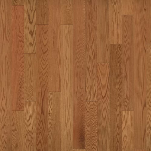 American Traditional Classics in Auburn Red Oak 3.25" Hardwood